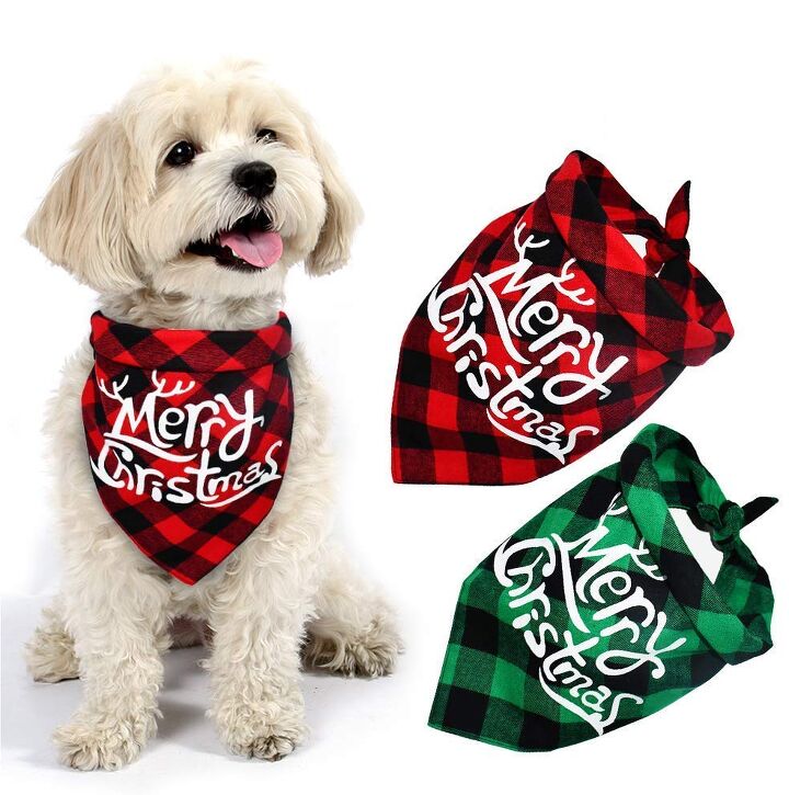 last minute christmas gift guide for dogs