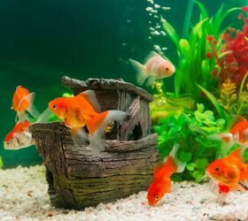best accessories for a whimsical fish tank