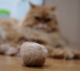 Best Hairball Control Products for Cats