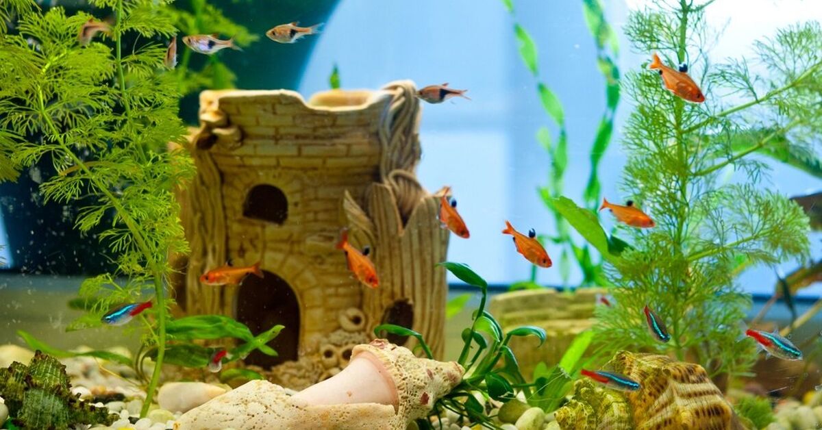 Fish Tank Groot Air Bubbler Decor Fun Accessory With Air Stone