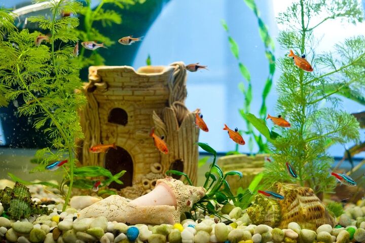 best air bubbler aquarium decorations