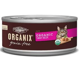 top organic cat food