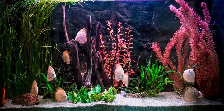 best aquarium filter media