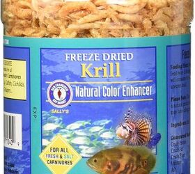 Freeze Dried Krill Shrimp Fish Food, Colour enhance, body growth