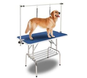 Best Dog Grooming Tables PetGuide