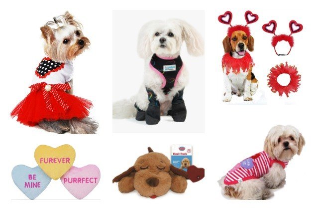pawesome valentine 8217 s day dog gifts that let you share the love