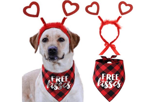 pawesome valentines day dog gifts that let you share the love