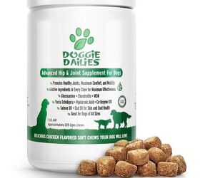 best tasting glucosamine for dogs