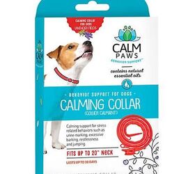 Best Dog Calming Collars PetGuide