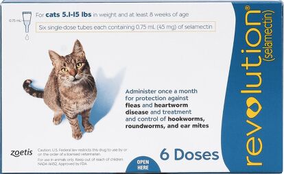 Best Cat Dewormers Petguide Best Cat Dewormers Petguide