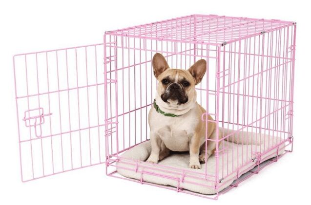 best small dog crates