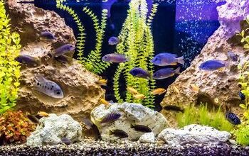 Best Aquarium Power Filters