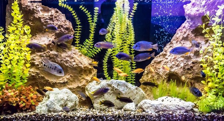 best aquarium power filters
