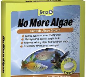 Tetra no more algae 2024 tablets safe for fish