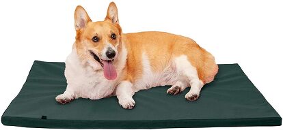 Illustration of Easy Clean Dog Crate Pads
