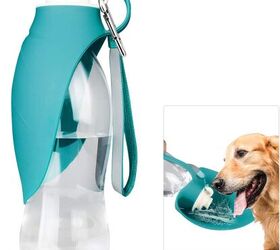 Best Dog Travel Water Bottles | PetGuide