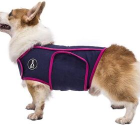 Best Dog Anxiety Vests