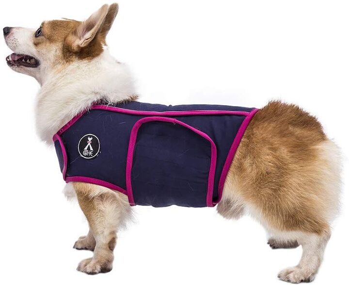 best dog anxiety vests