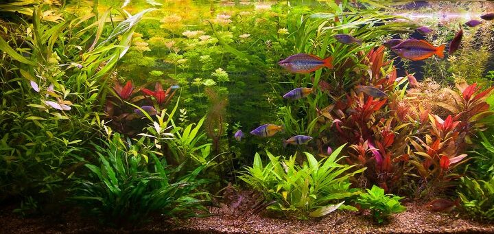 best aquarium maintenance supplies