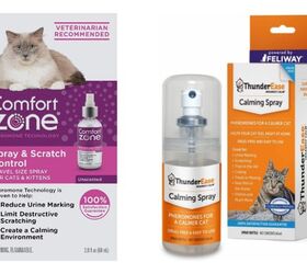 Best Cat Pheromone Sprays