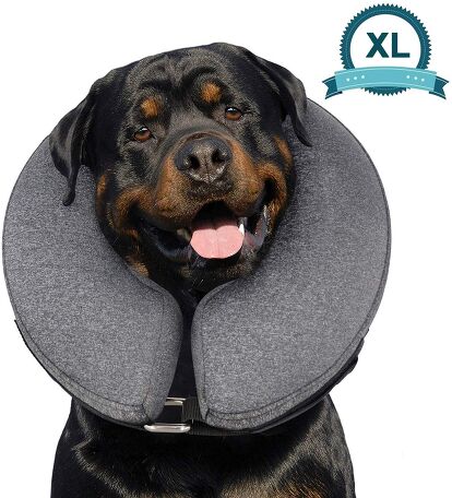 Inflatable dog collar jollyes Clearance