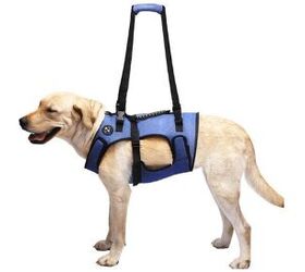 Best Dog Lift Harnesses