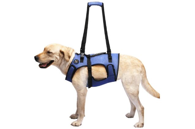 best dog lift harnesses