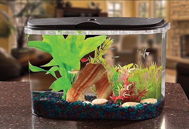 Tetra Crescent Acrylic Aquarium Kit Gallons, Curved-Front Tank With ... - Best Aquarium Kits UnDer 10 Gallons Tetra Crescent Acrylic Aquarium Kit Gallons, Curved-Front Tank With ... - Best Aquarium Kits UnDer 10 Gallons