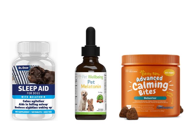 A closer look at Melatonin For Puppies Anxiety