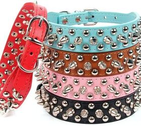 Best Spiked Dog Collars | PetGuide