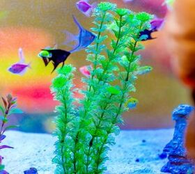 best artificial aquarium plants