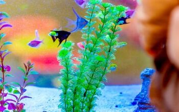 Best Artificial Aquarium Plants