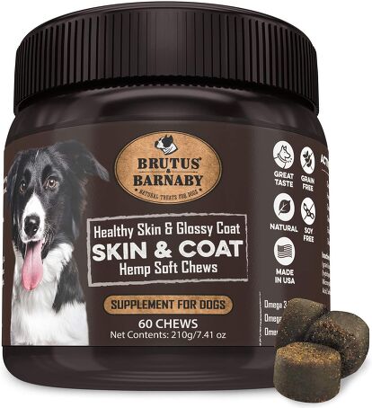 Best Dog Coat and Skin Supplements | PetGuide