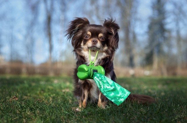 best dog poop bags