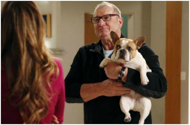 modern family 8217 s 8216 stella 8217 died shortly after filming series finale