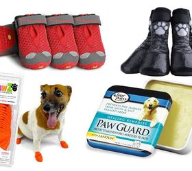 Paw Pad Protection for Dogs