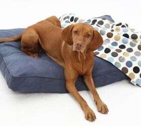 Best Dog Bed Covers
