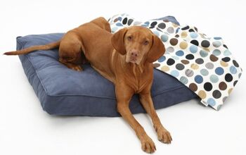 Best Dog Bed Covers