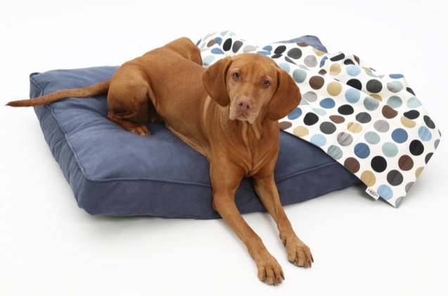 Bed cover for dog hair Clearance