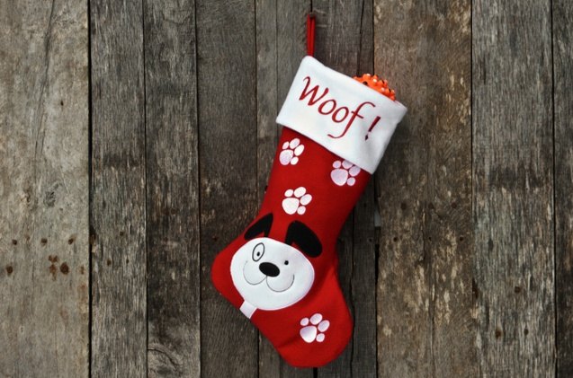 best dog stockings