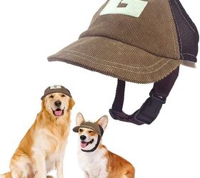 The 7 Best Dog Hats of 2023