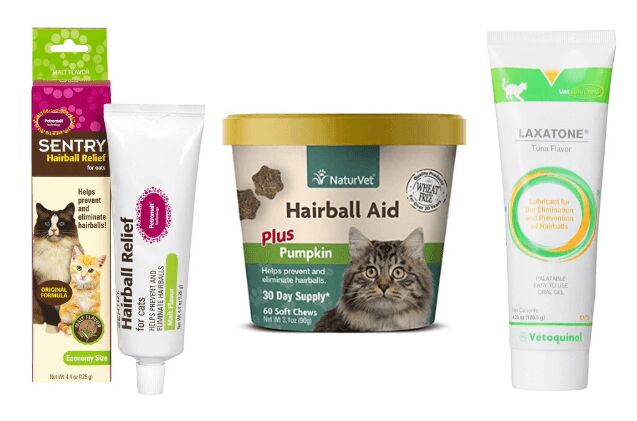 Best Hairball Remedies | PetGuide