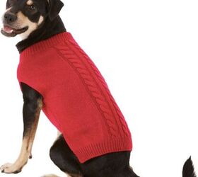 grumpy sprout dog jumper