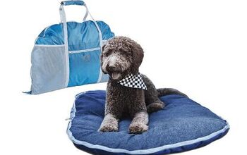 Best Dog Travel Beds