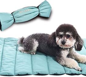travel dog bed for dogs