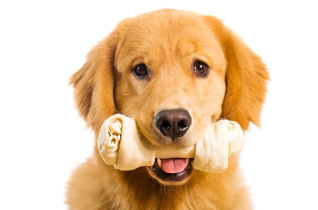 best rawhide for dogs