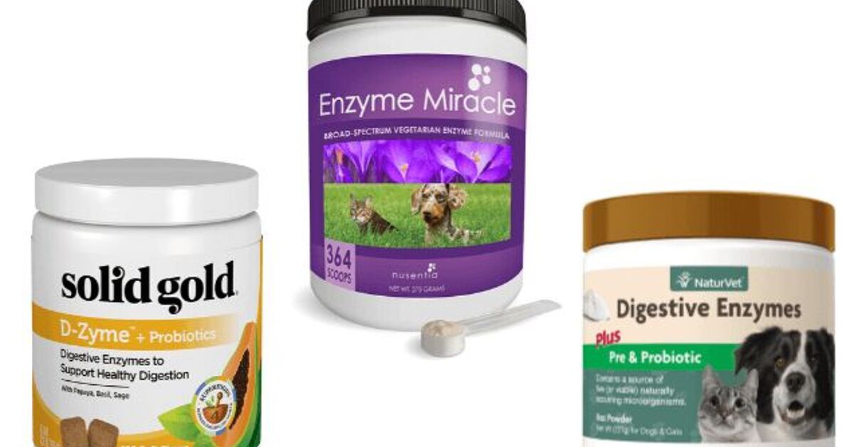 Stunning Digestive Enzyme Rich Dog Food image