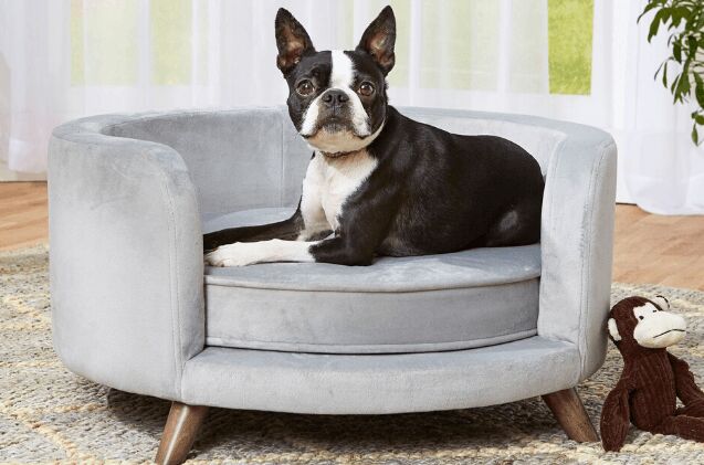 best dog sofas and chairs