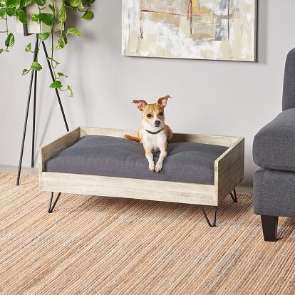 Best Dog Sofas and Chairs | PetGuide