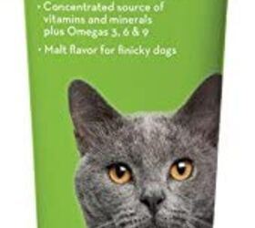 Cat vitamins store for weight gain